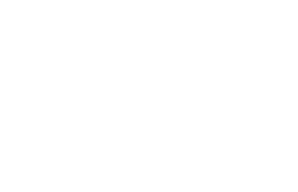 wordpress Emergency support icon